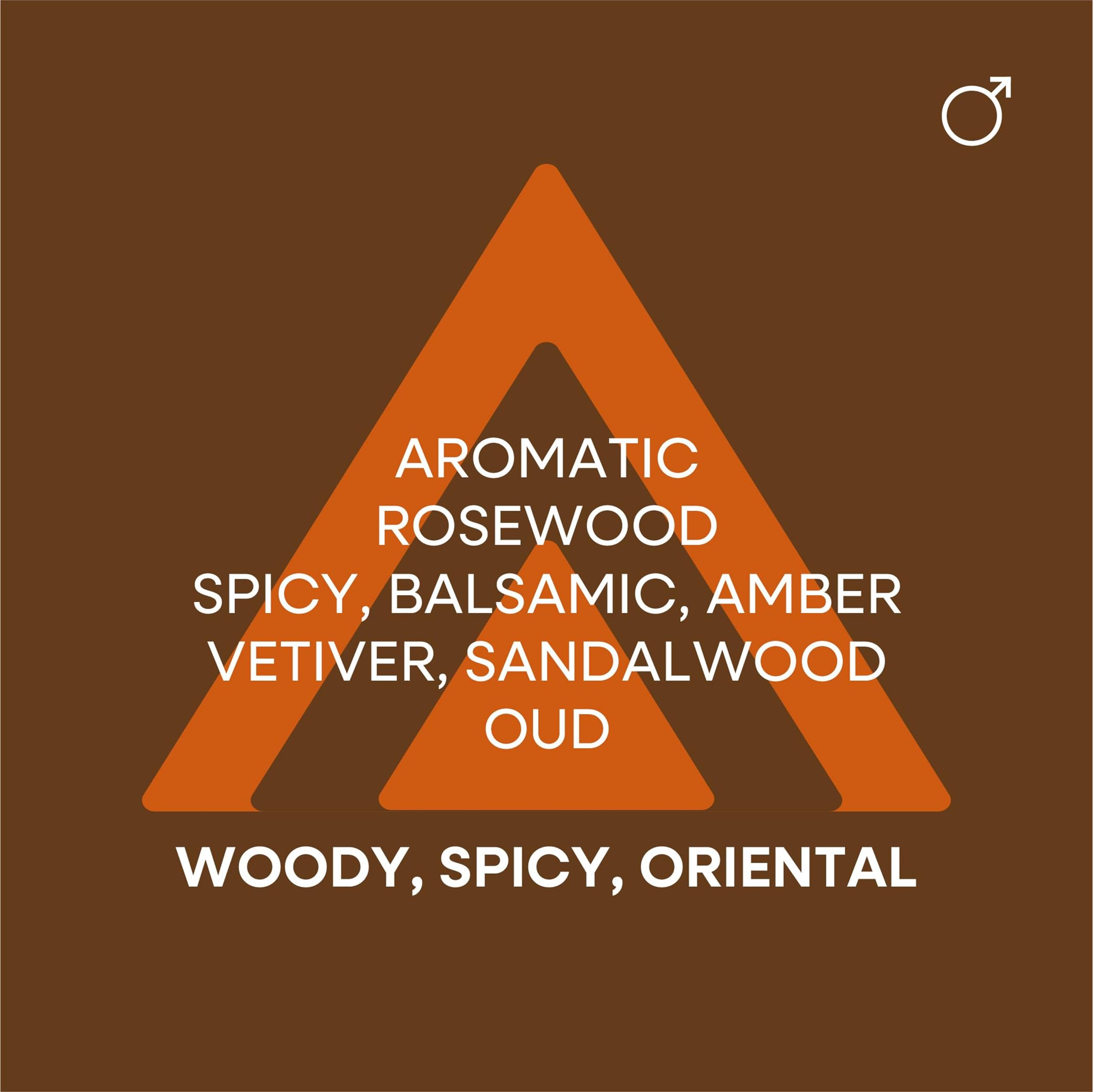 Colour Me Oud 100 ml Perfume for Men | Long-Lasting